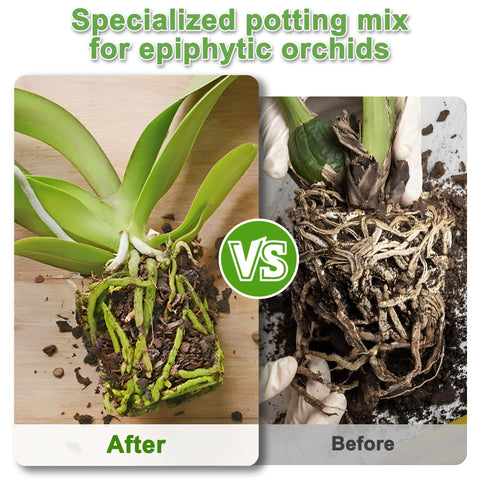 Ready to use Sumloty orchid bark mix in bag