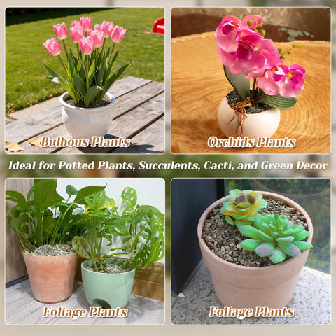 Sumloty pumice aquarium filter media and terrarium substrate