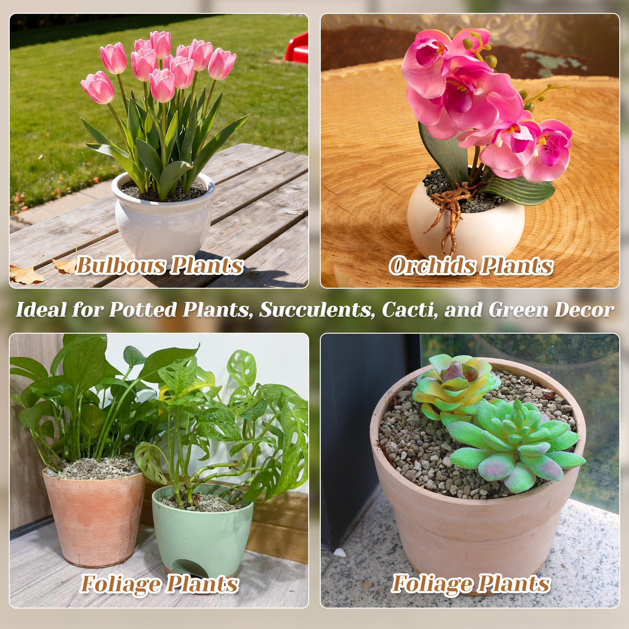 Sumloty pumice serves as hydroponics medium and filter support