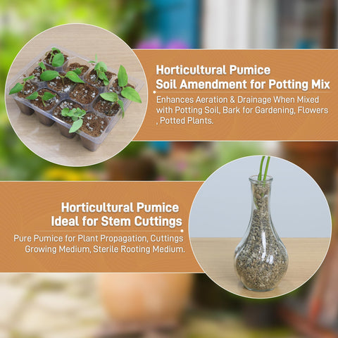 Sumloty pumice root-air-space aids robust root development