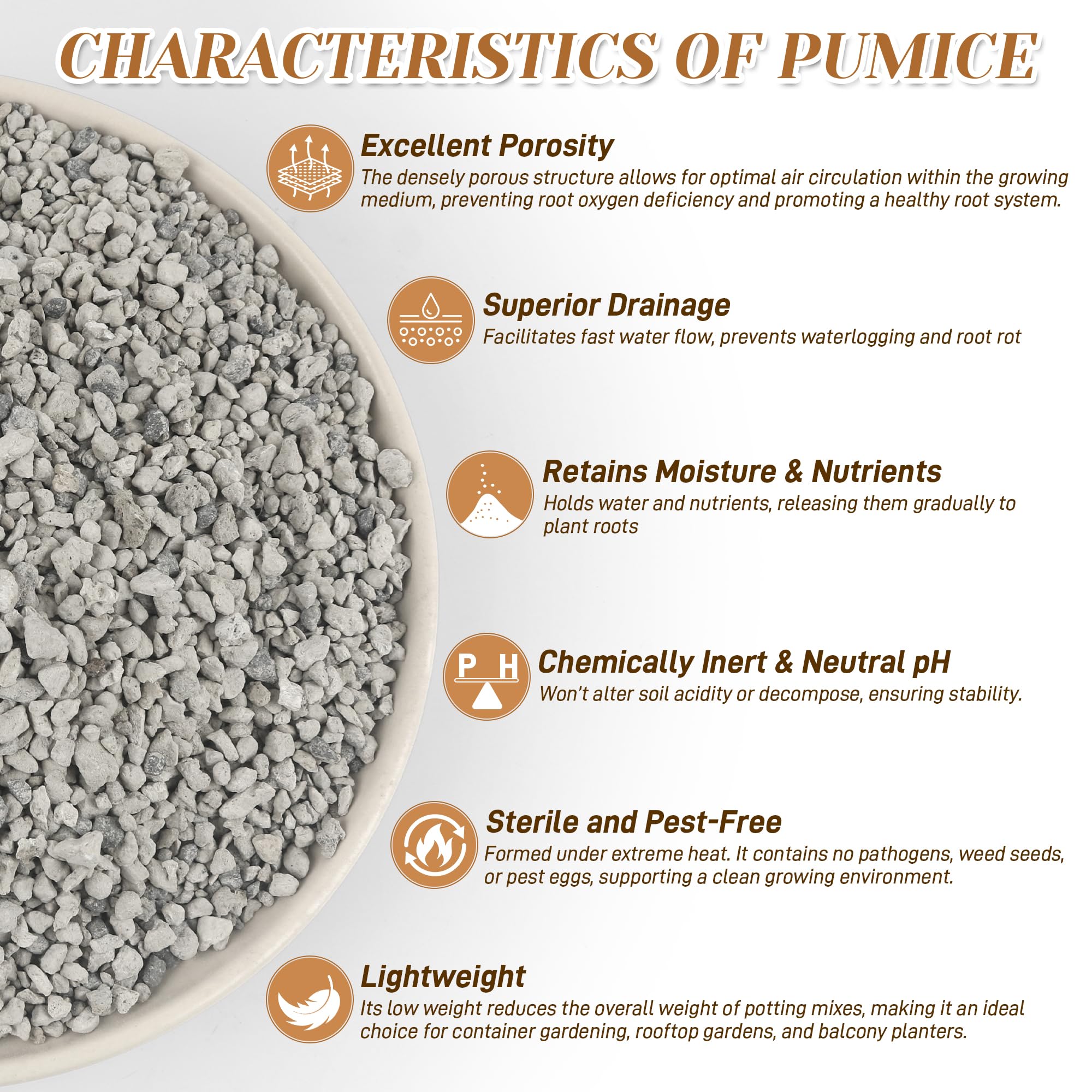 Sumloty pumice in succulent potting mix promotes healthier roots