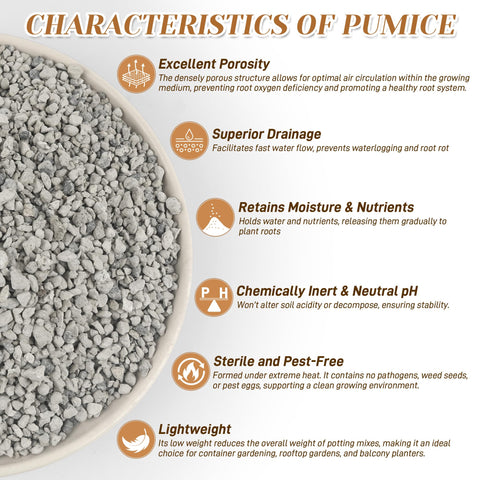 Sumloty pumice in succulent potting mix promotes healthier roots