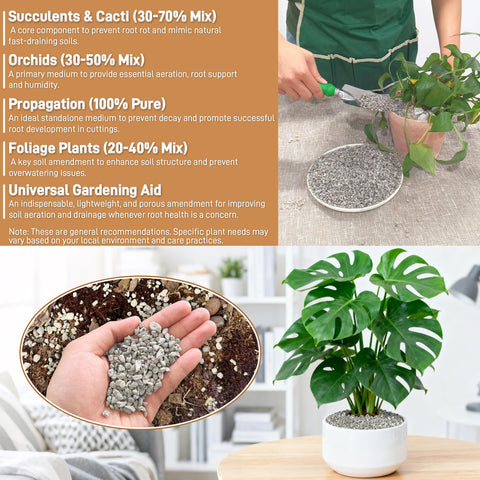 Sumloty pumice top dressing for terrariums and small aquariums