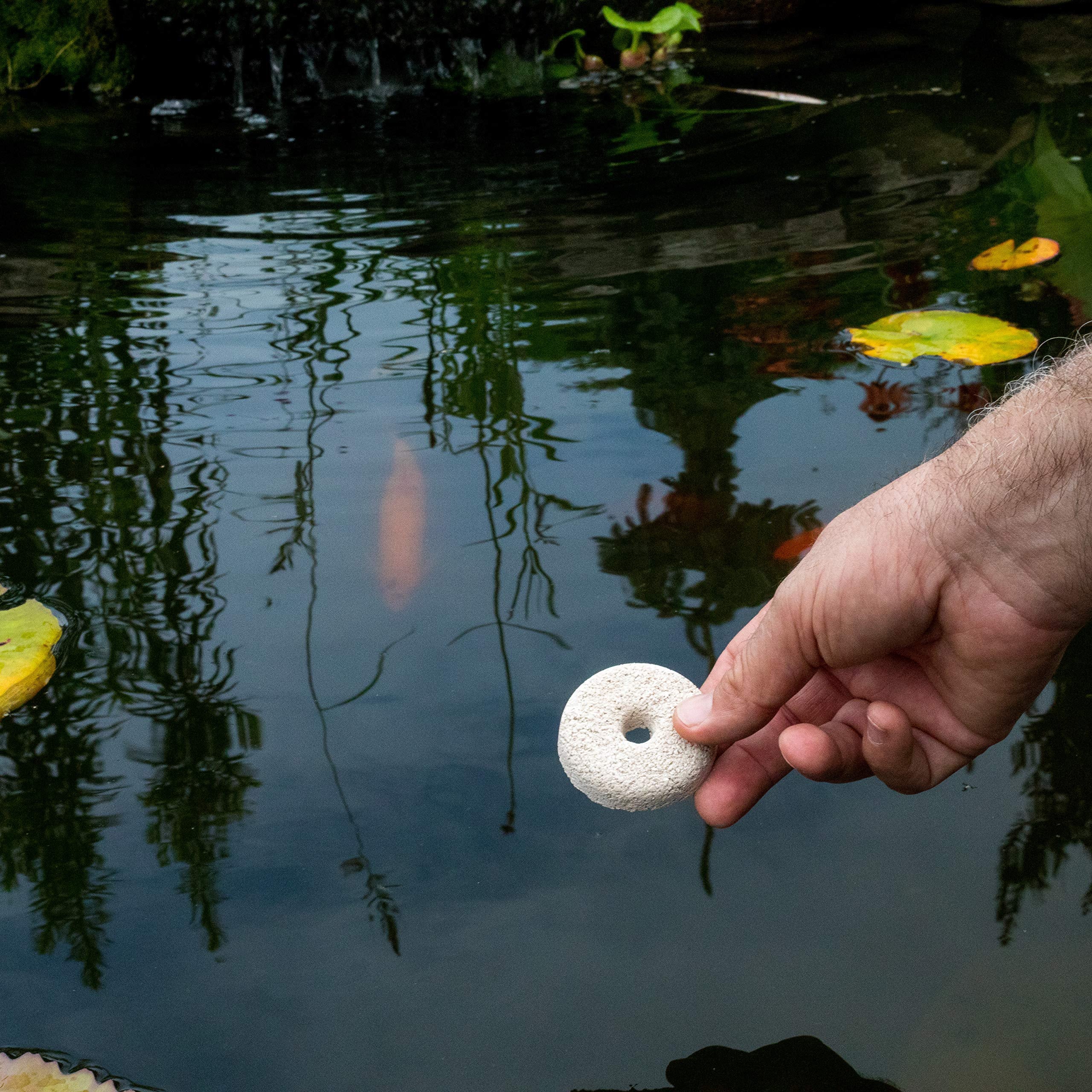 Summit Mosquito DUNK demonstrates non-toxic formula safe for wildlife and pets.