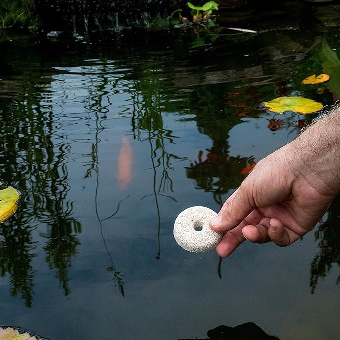 Summit Dunks placed in ponds or birdbaths reduce larval mosquitoes.