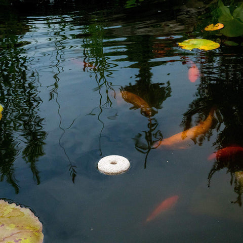 Summit Mosquito Dunks treat up to 100 square feet of surface water with ease.