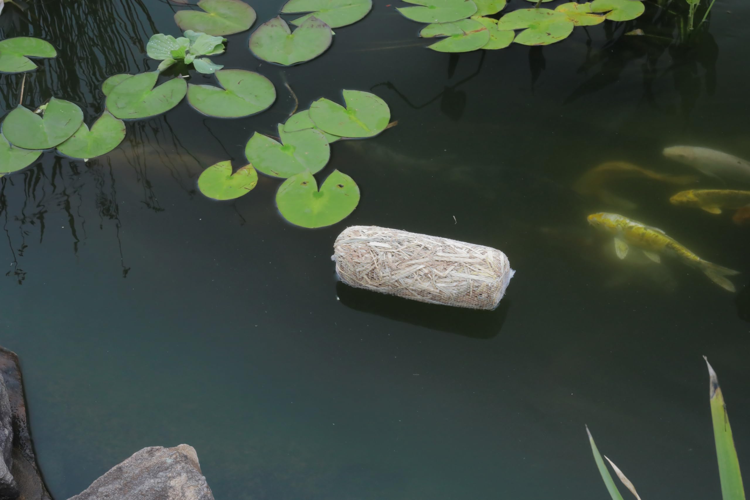 Summit Clear-Water barley straw is safe for fish and plants.