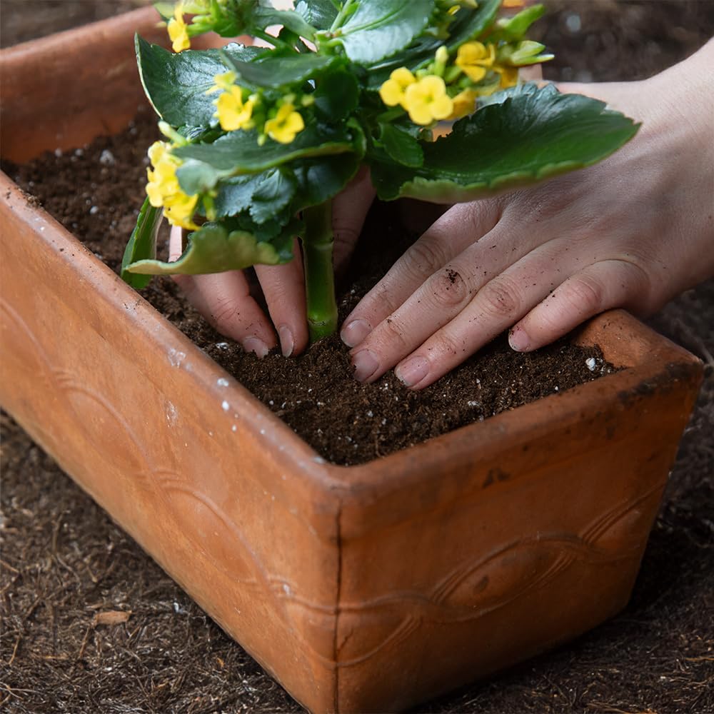 Patio container with MultiCote fertilizer in Black Gold delivers steady nutrition