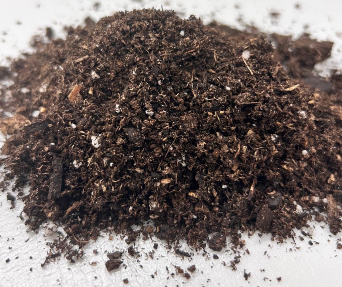 Close-up of Canadian sphagnum peat moss worm castings and pumice in Black Gold mix