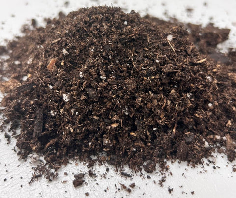 Close-up of Canadian sphagnum peat moss worm castings and pumice in Black Gold mix