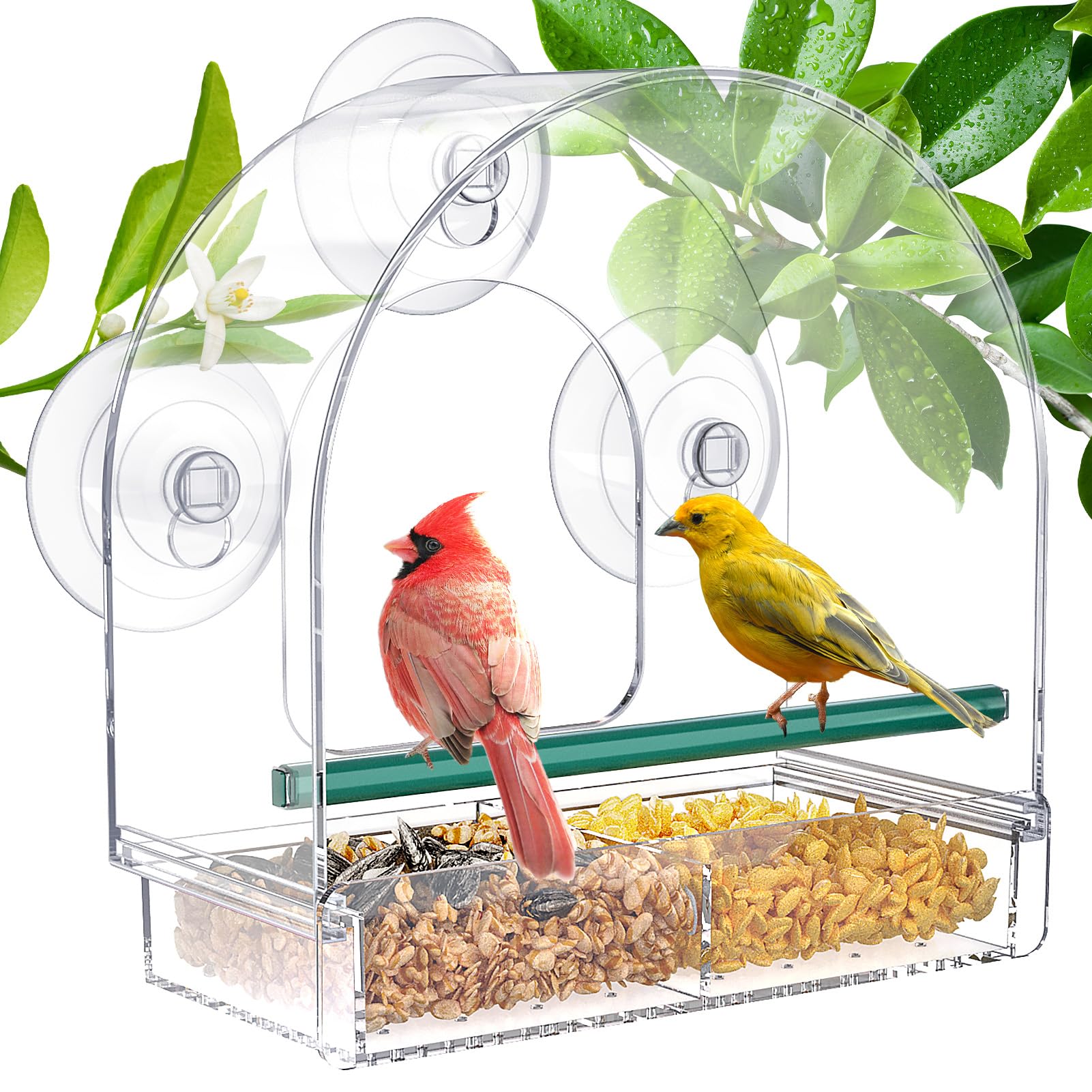 SUNALLY Window Bird Feeder with clear view for indoor bird watching.