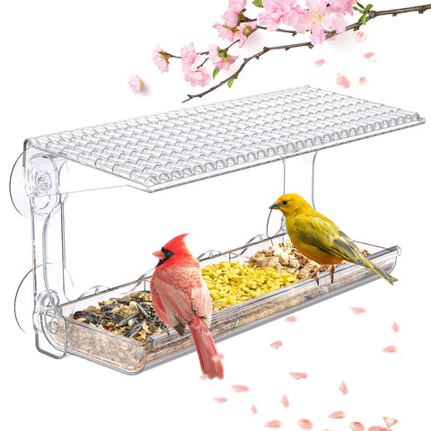 Sunally Window Bird Feeder with clear view for up-close indoor birdwatching.