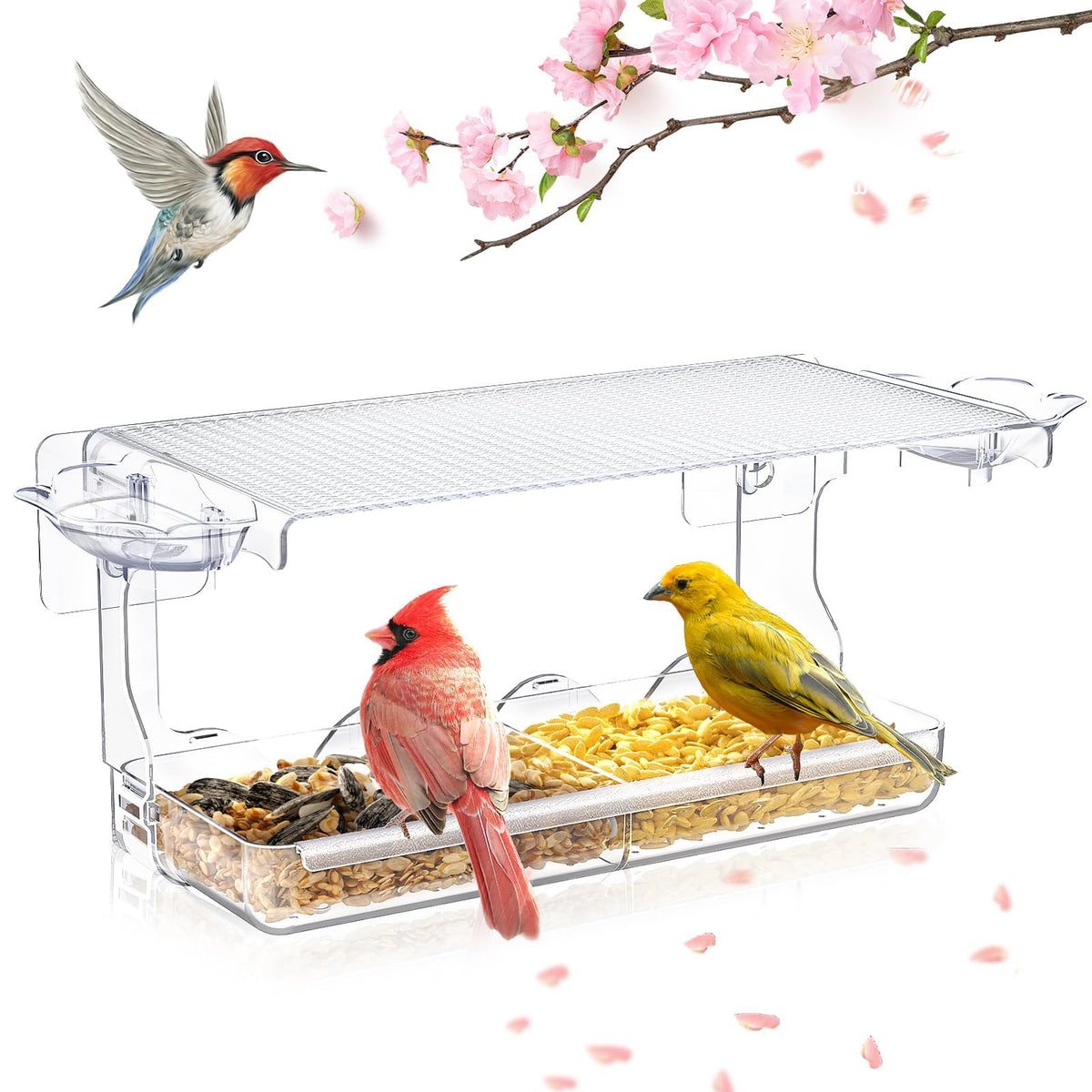 Sunally Window Bird Feeder close-up shows a clear viewing panel for backyard birds.