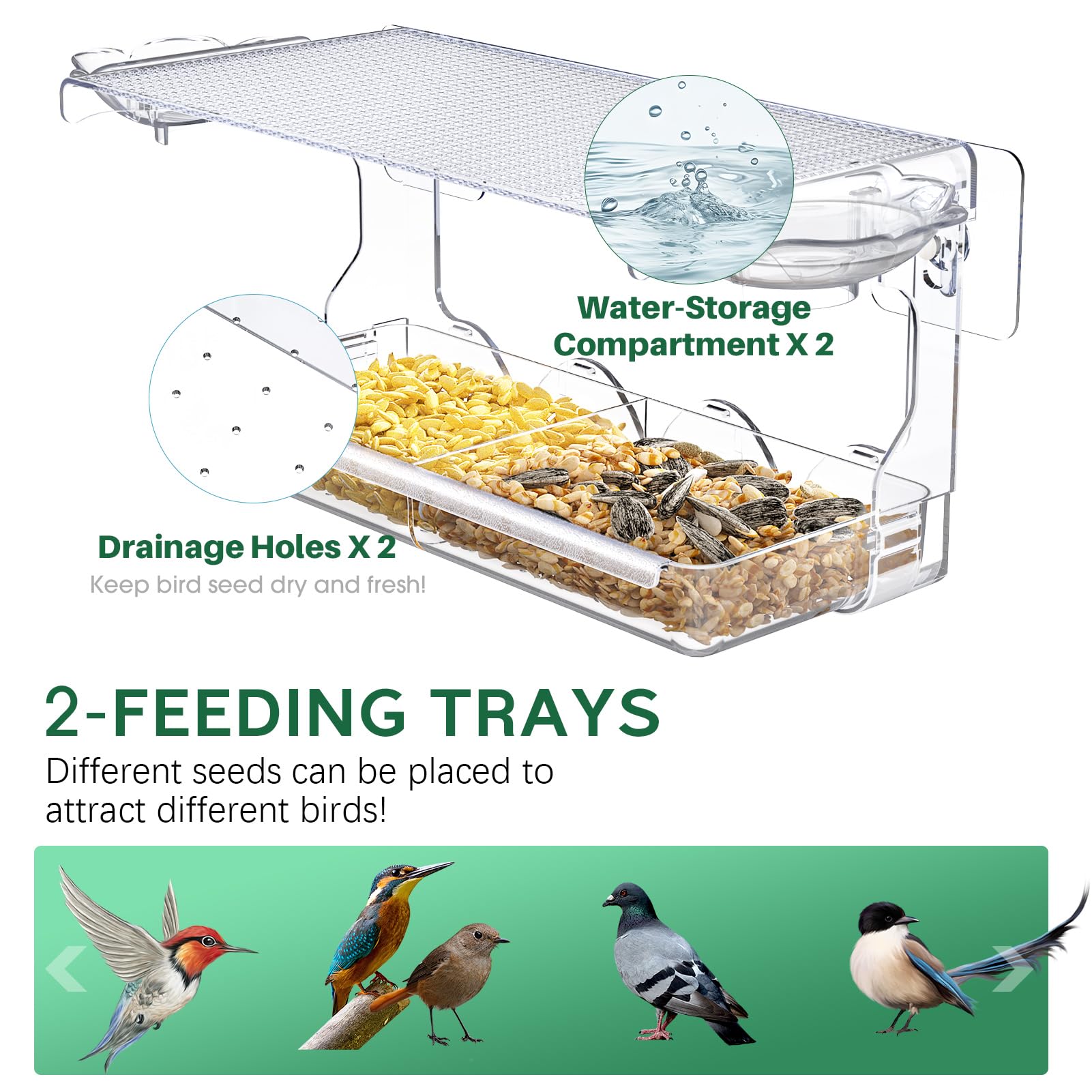 Sunally Window Bird Feeder dual trays provide separate seed sections for mixed visitors.