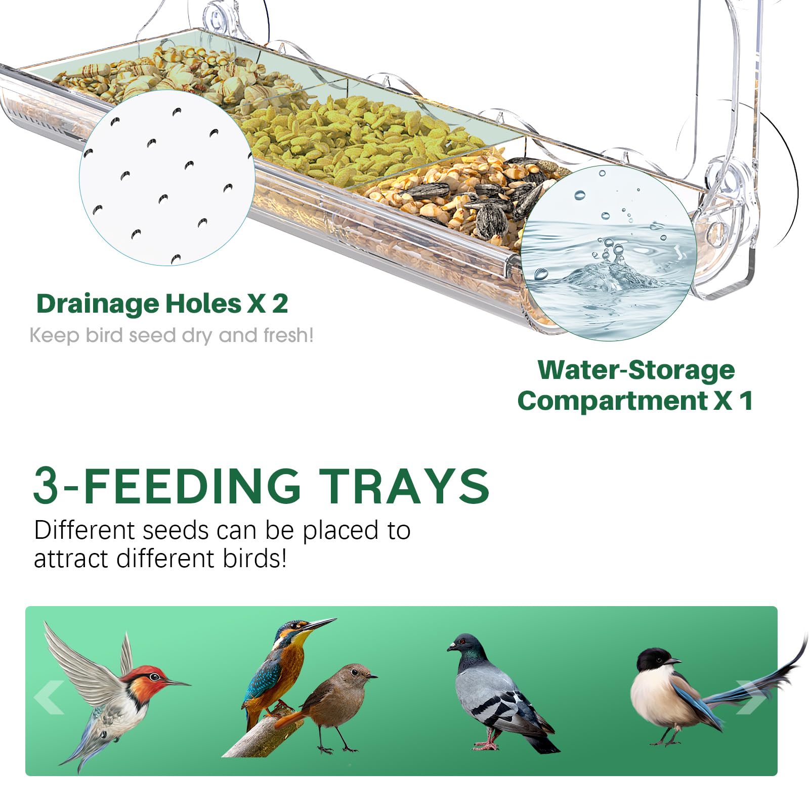 Sunally feeder's triple-compartment tray supports diverse seed types for easy feeding.