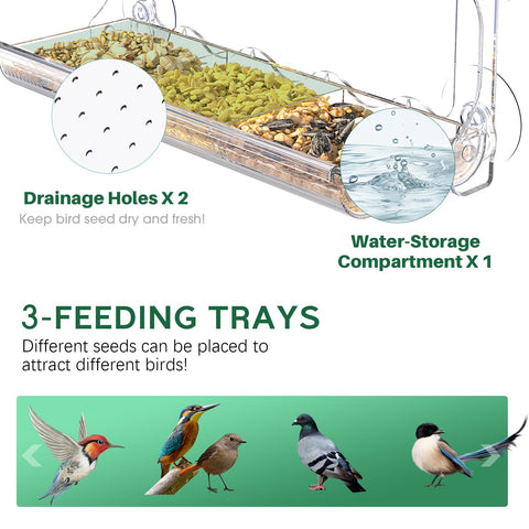 Sunally feeder's triple-compartment tray supports diverse seed types for easy feeding.