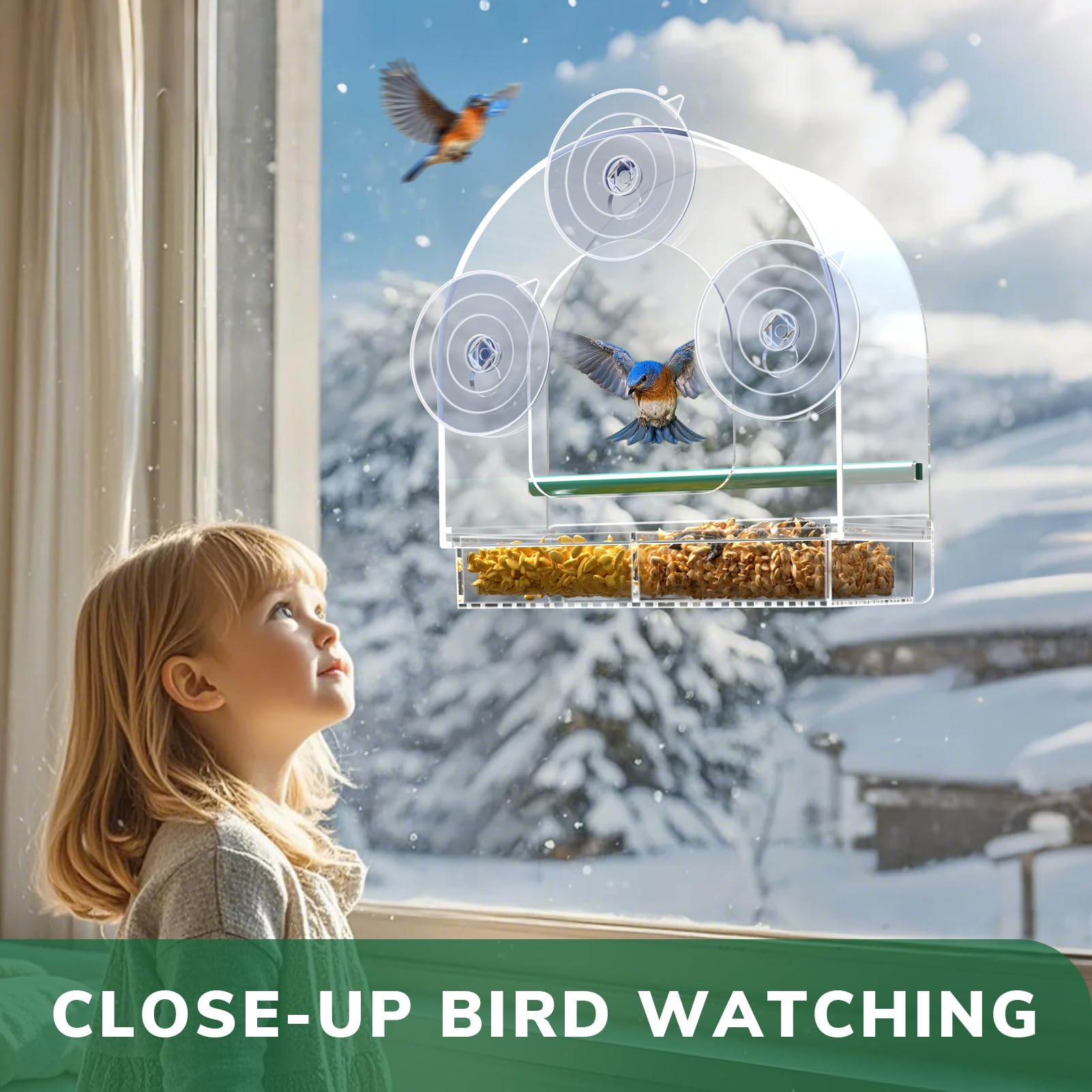 SUNALLY Window Bird Feeder helps deter pests while inviting birds to visit.