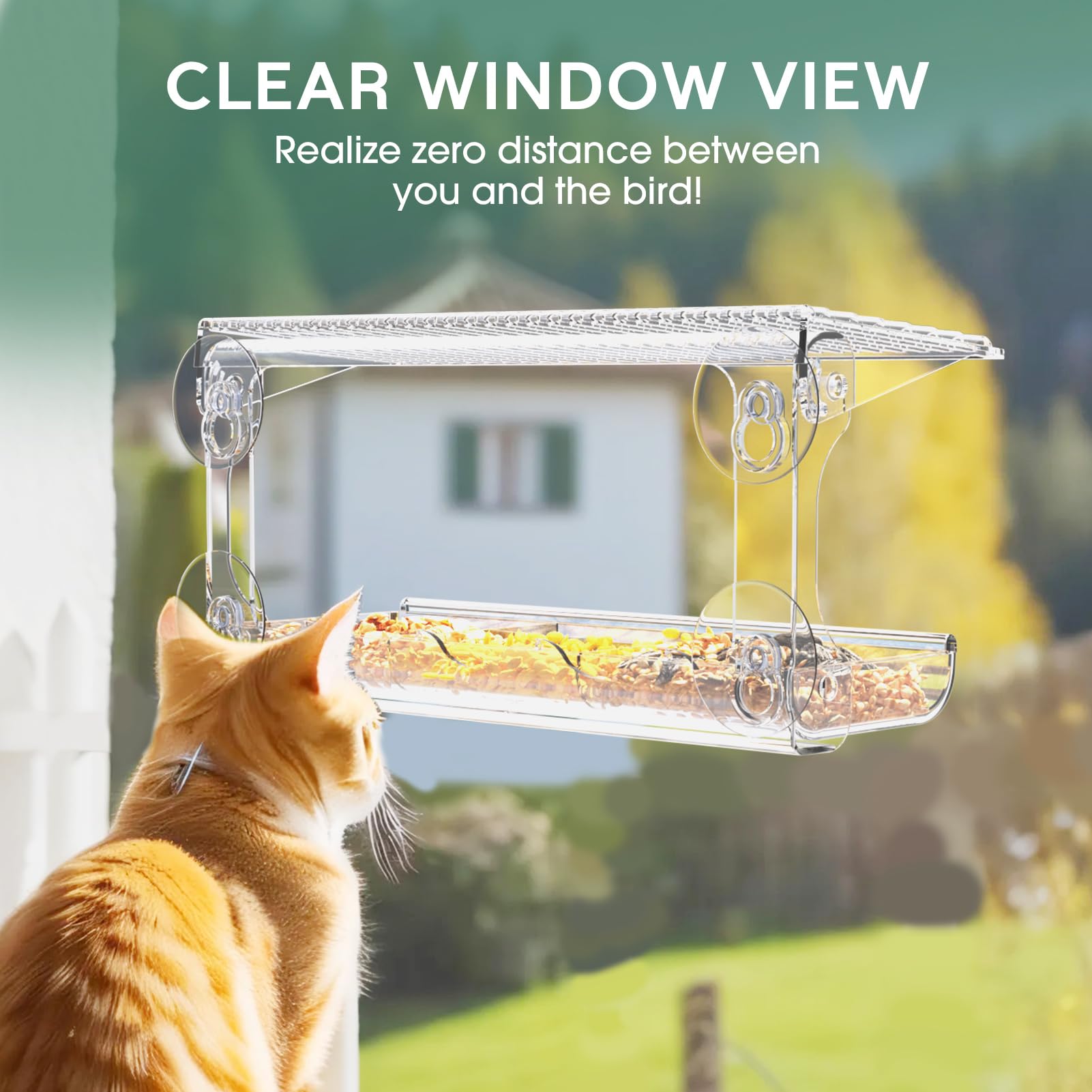 Sunally tile-roof design shields birds from wind and rain.