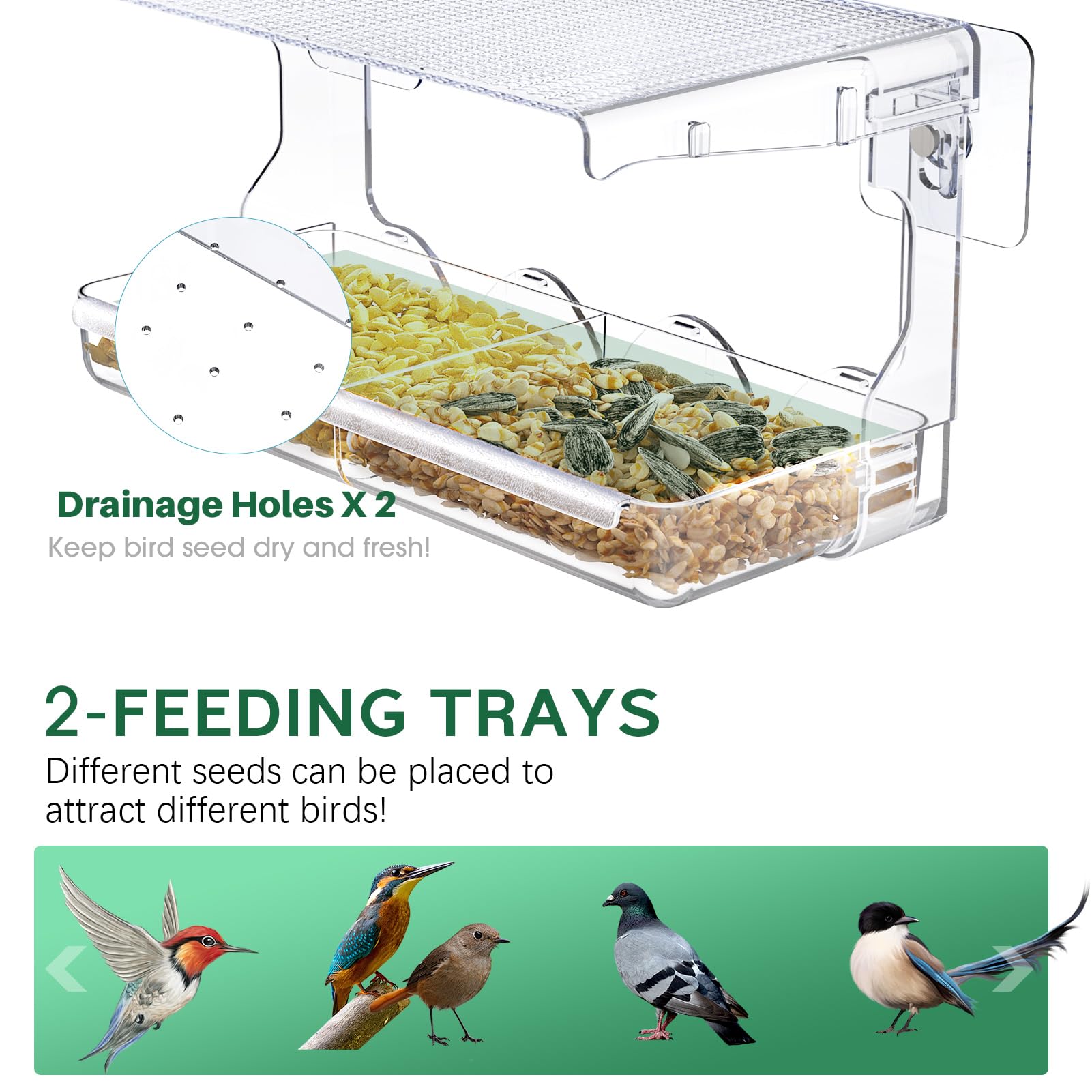 Two compartment feeding tray on SUNALLY feeder for diverse seed options