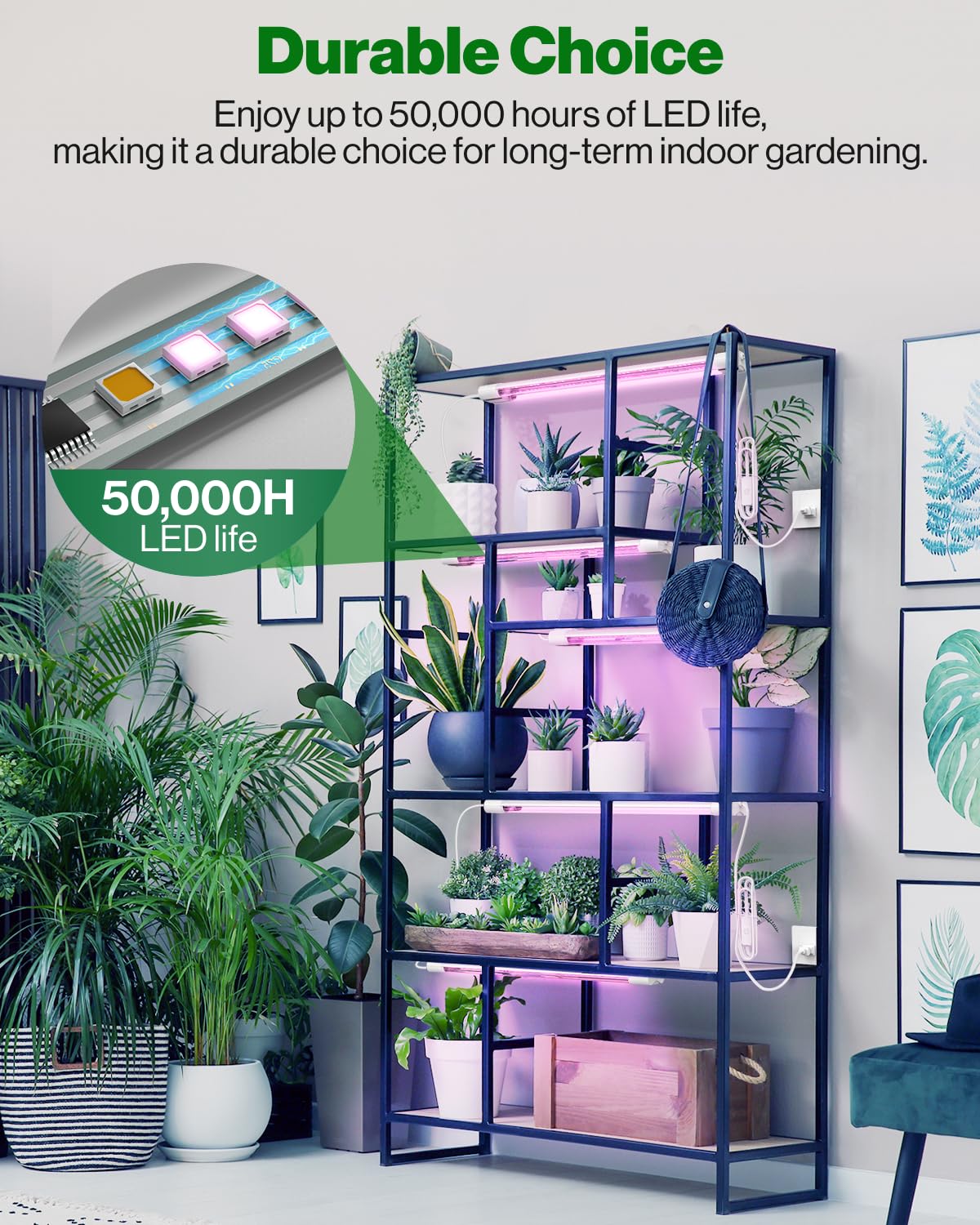 Sunco linkable design connects up to eight fixtures for larger indoor setups.