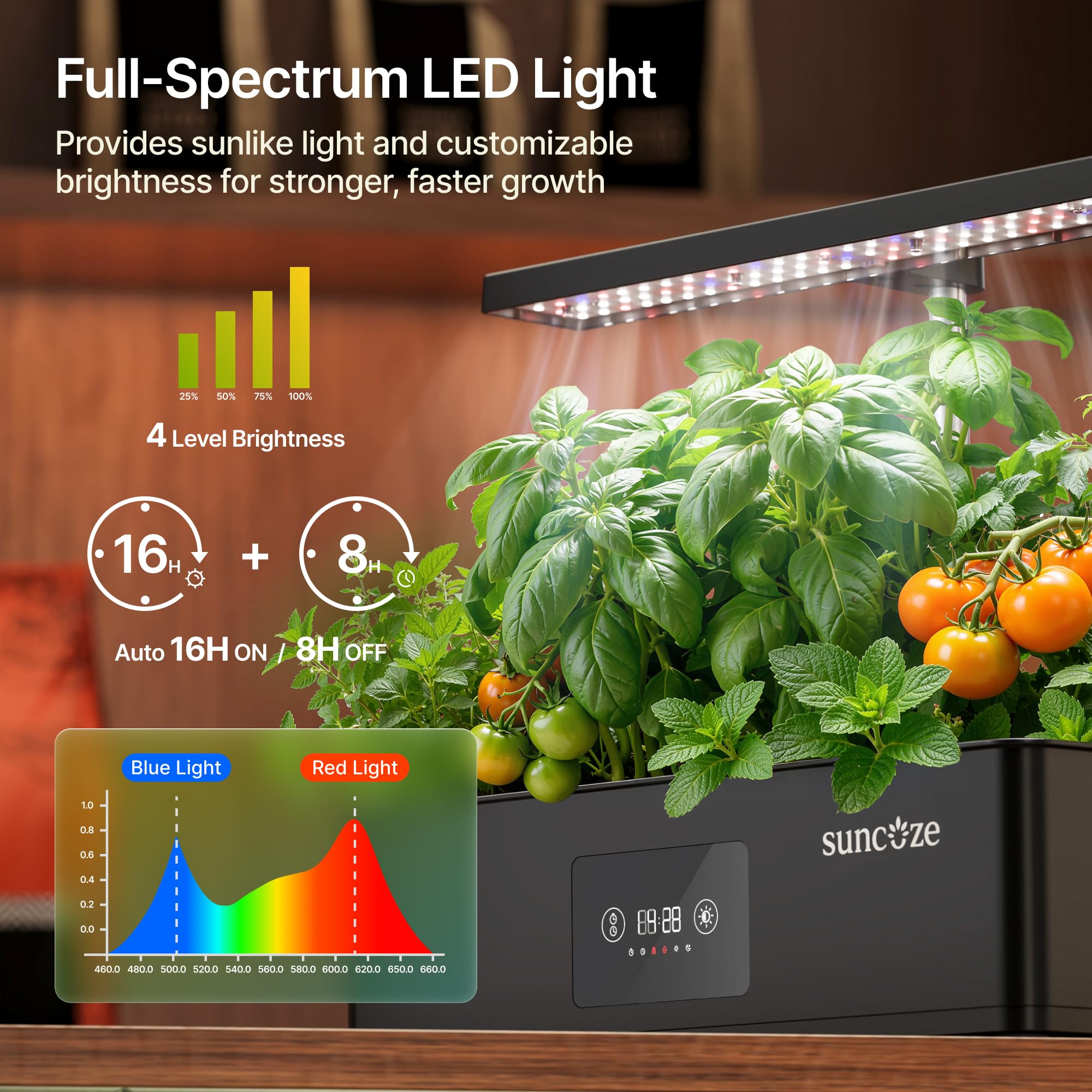 SUNCOZE compact 4L tank with 12 pods in a row