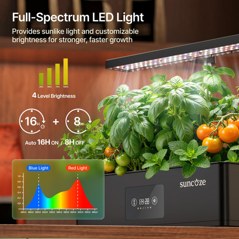 SUNCOZE compact 4L tank with 12 pods in a row
