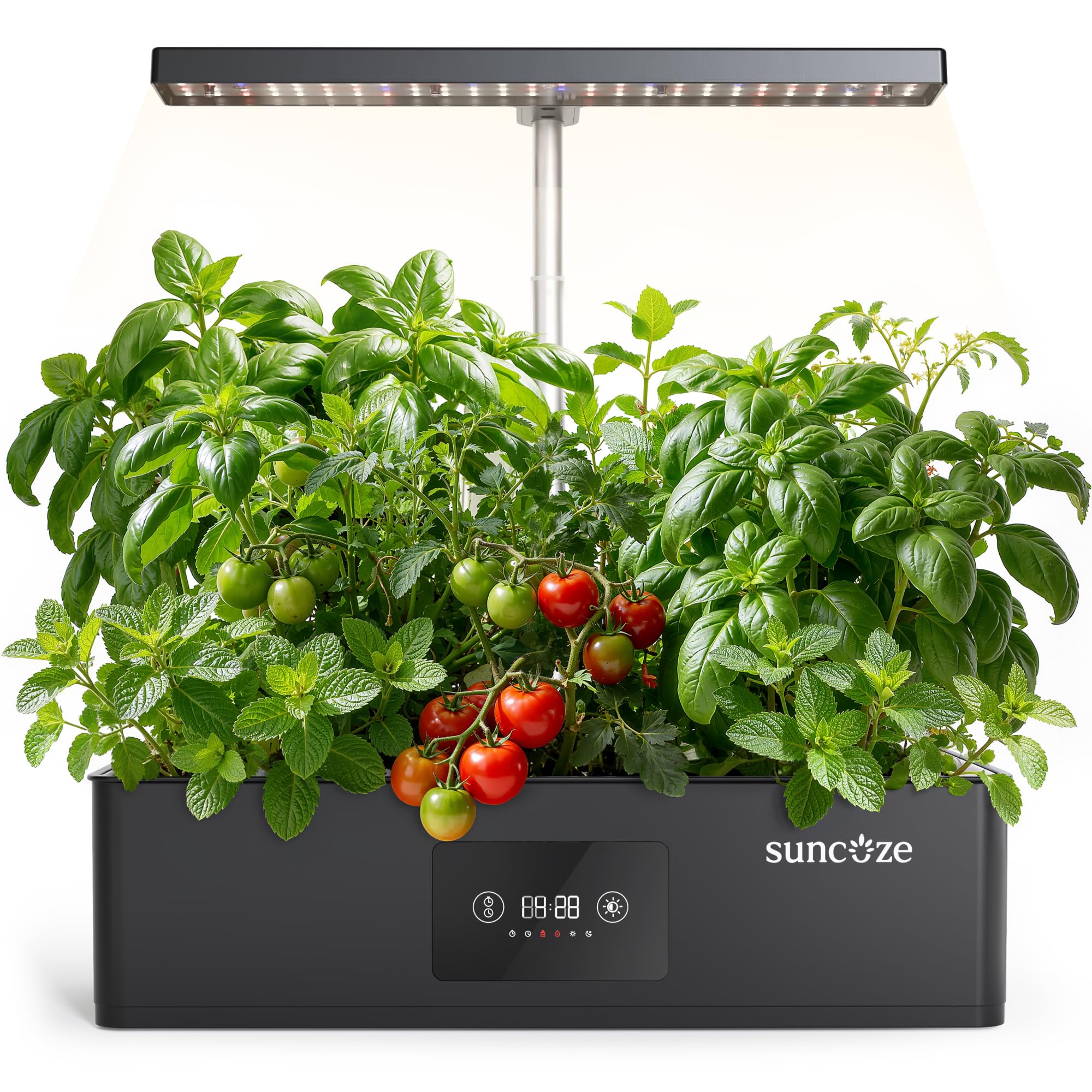 SUNCOZE 12-pod hydroponics system front view for year-round herbs