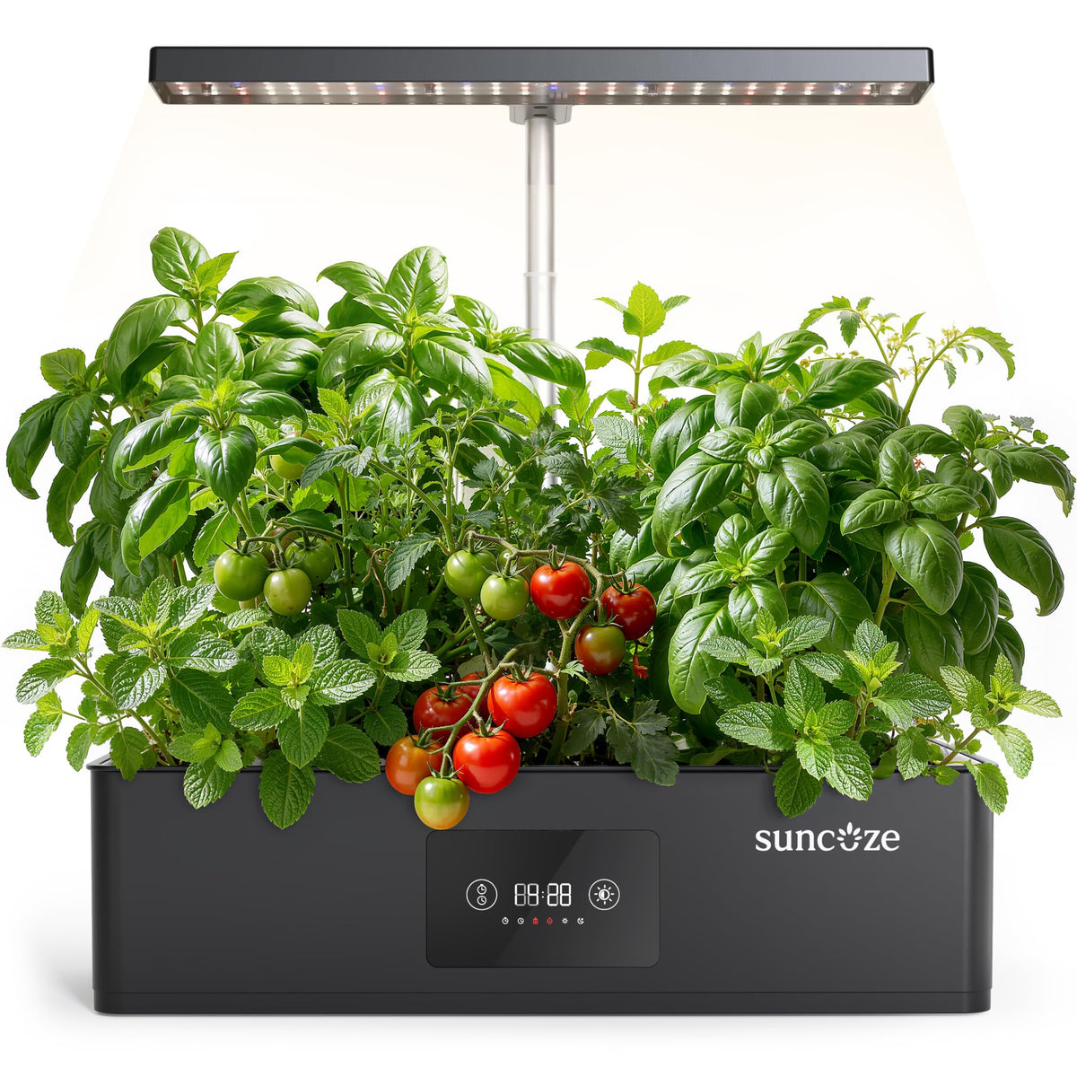SUNCOZE 12-pod hydroponics system front view for year-round herbs