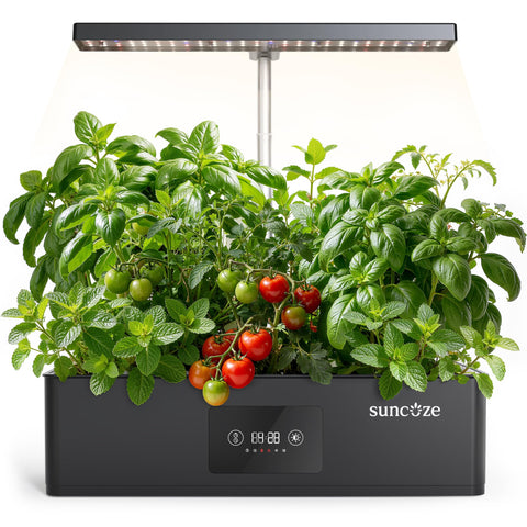 SUNCOZE 12-pod hydroponics system front view for year-round herbs