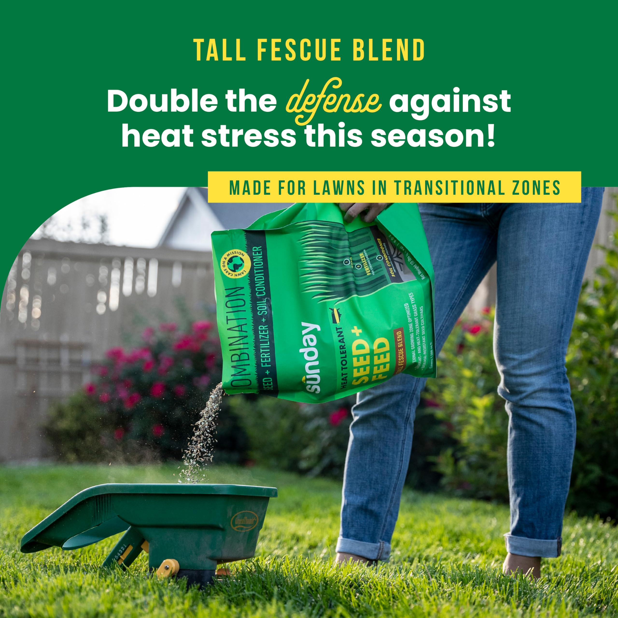 SUNDAY 3-in-1 lawn solution bottle showing seed, fertilizer, soil conditioner