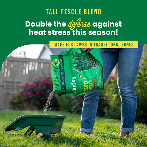 SUNDAY 3-in-1 lawn solution bottle showing seed, fertilizer, soil conditioner