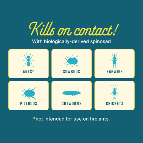 Ready to use Ant Adios application around garden plants.