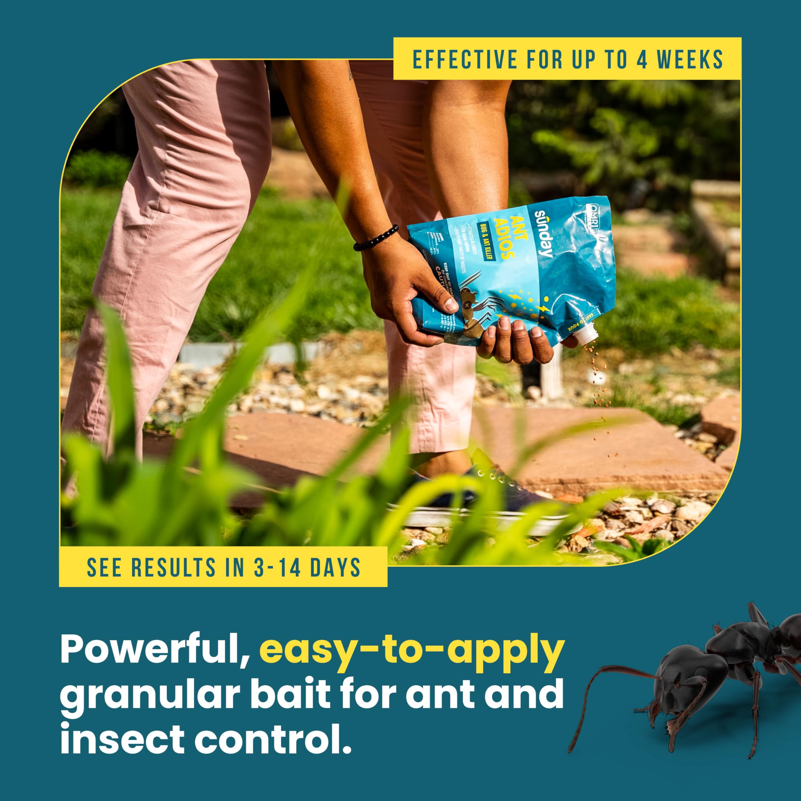 Ant Adios formula is odor-free for outdoor spaces.