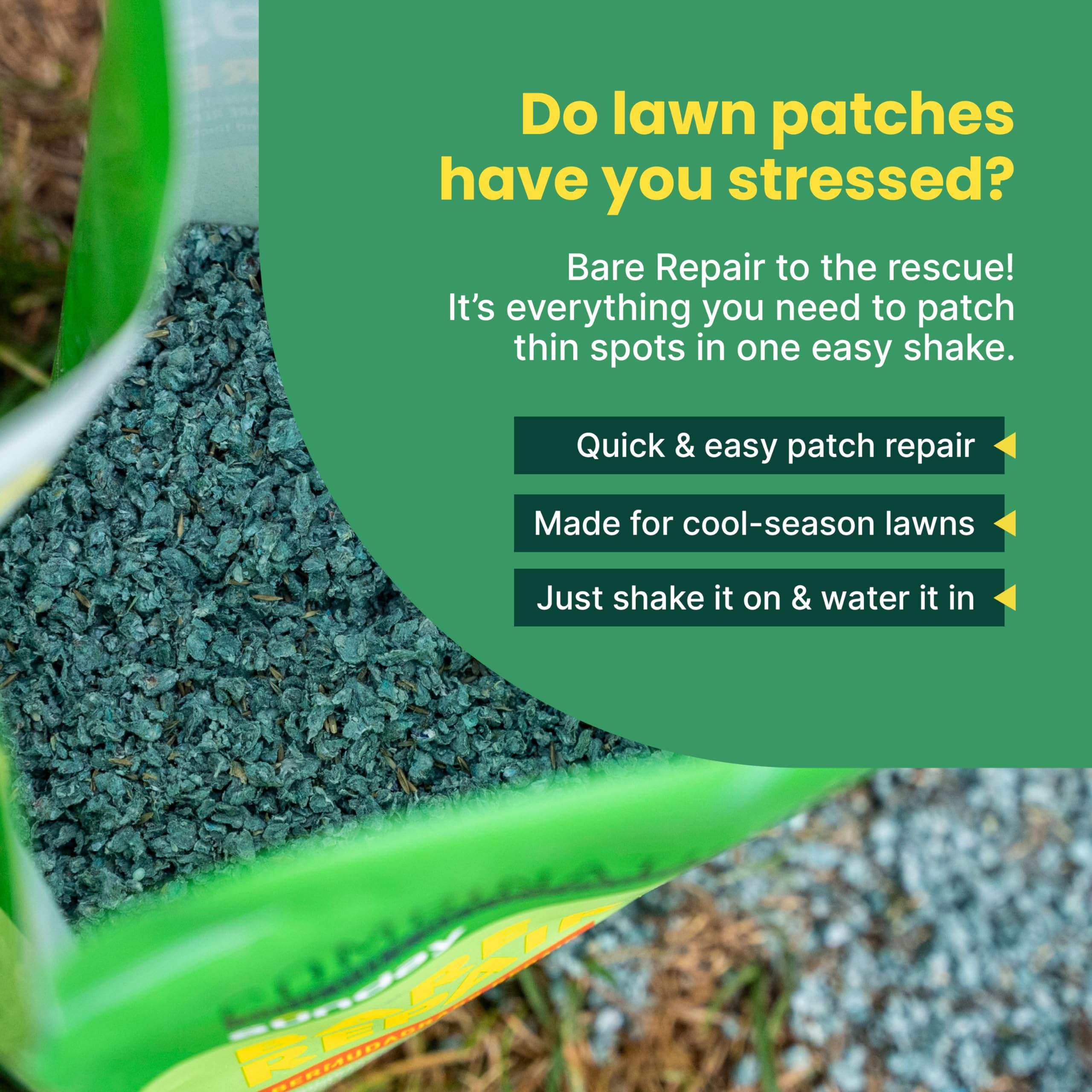 SUNDAY Bare Repair germination in sun or shade with steady watering.