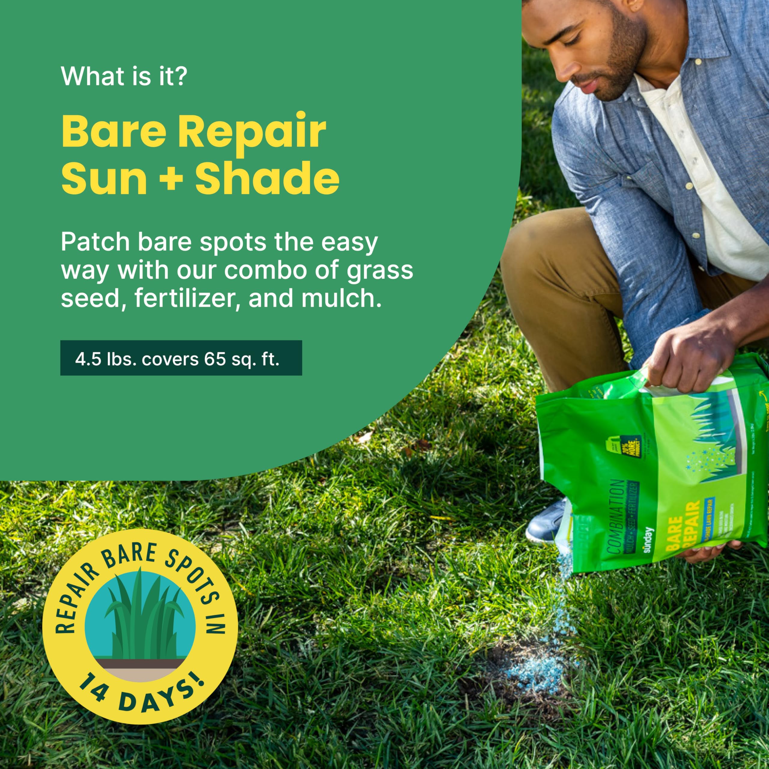 SUNDAY Bare Repair application spread evenly over bare spots enhances lawn recovery.