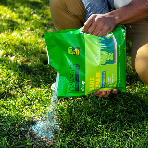 SUNDAY Bare Repair helps your lawn look revitalized in about 14 days with proper care.