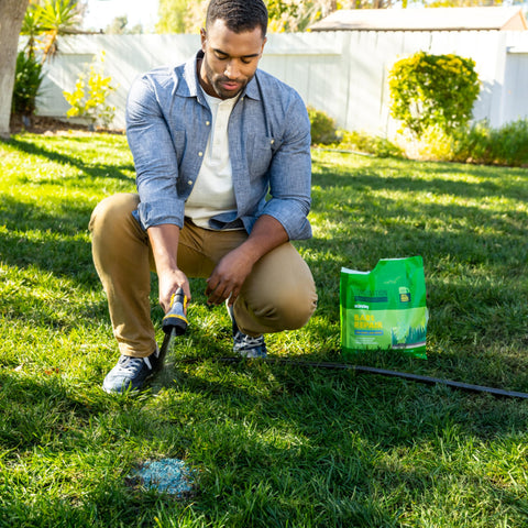 SUNDAY Bare Repair blends ryegrass and fine fescue for a natural look under sun and shade.