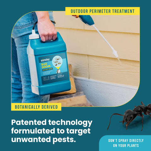 Outdoor exterior barrier sprayed using Bug Doom to deter pests.