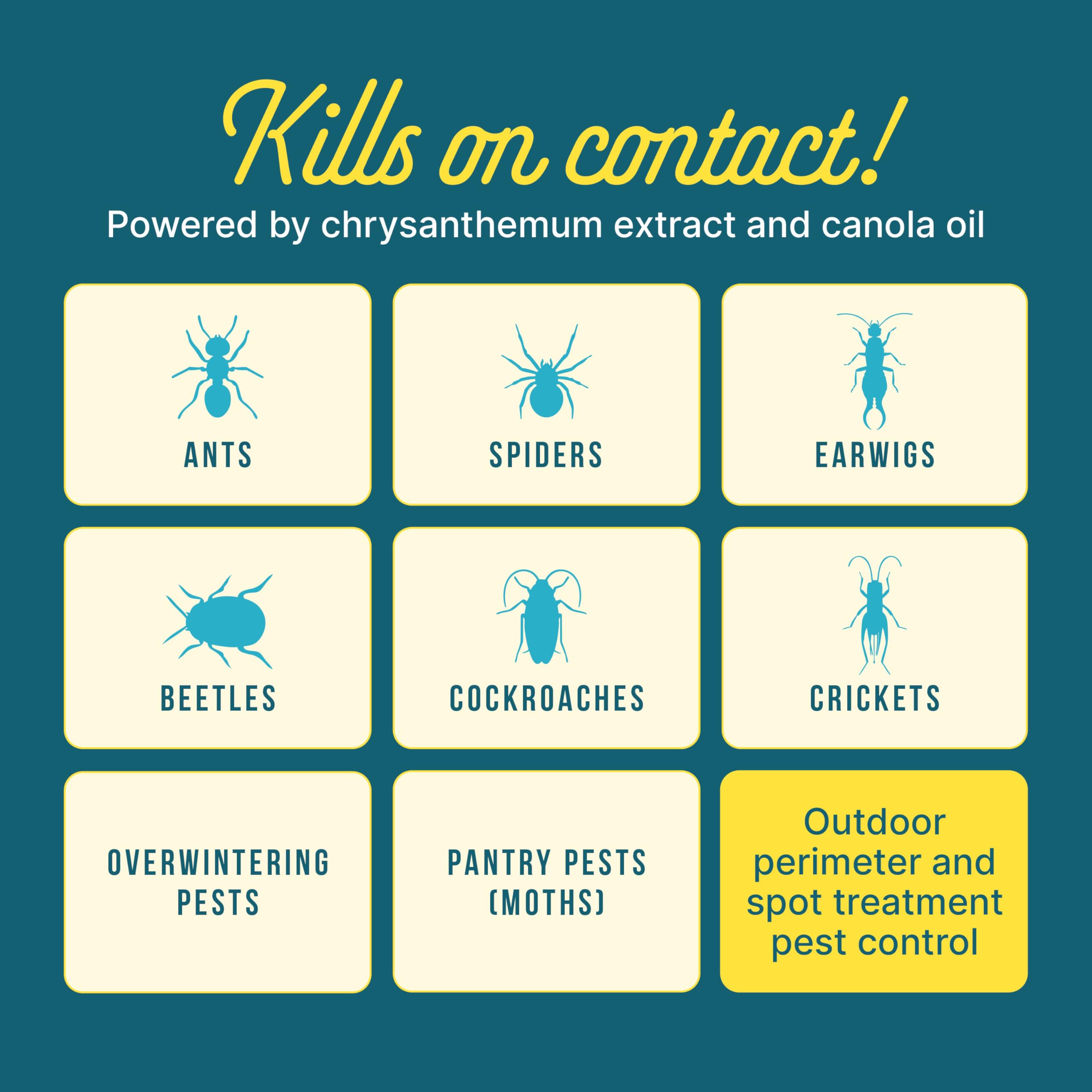 Perimeter protection around the home creates a ready bug-free zone.