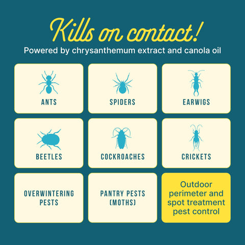 Perimeter protection around the home creates a ready bug-free zone.
