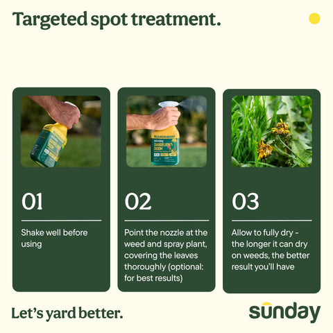 SUNDAY Dandelion Doom covers up to 100 sq ft for targeted control