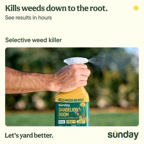 SUNDAY Dandelion Doom spray nozzle targets weeds with precision