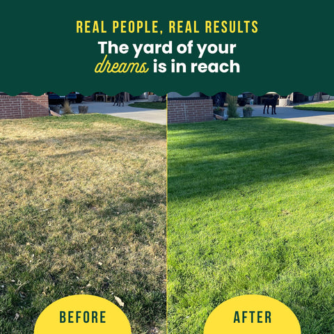 SUNDAY Green Machine demonstrates up to 10,000 sq ft coverage for a lush lawn.