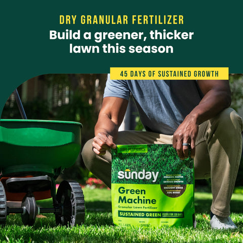 Sunday Green Machine granular fertilizer granules closeup promoting steady nutrient release.