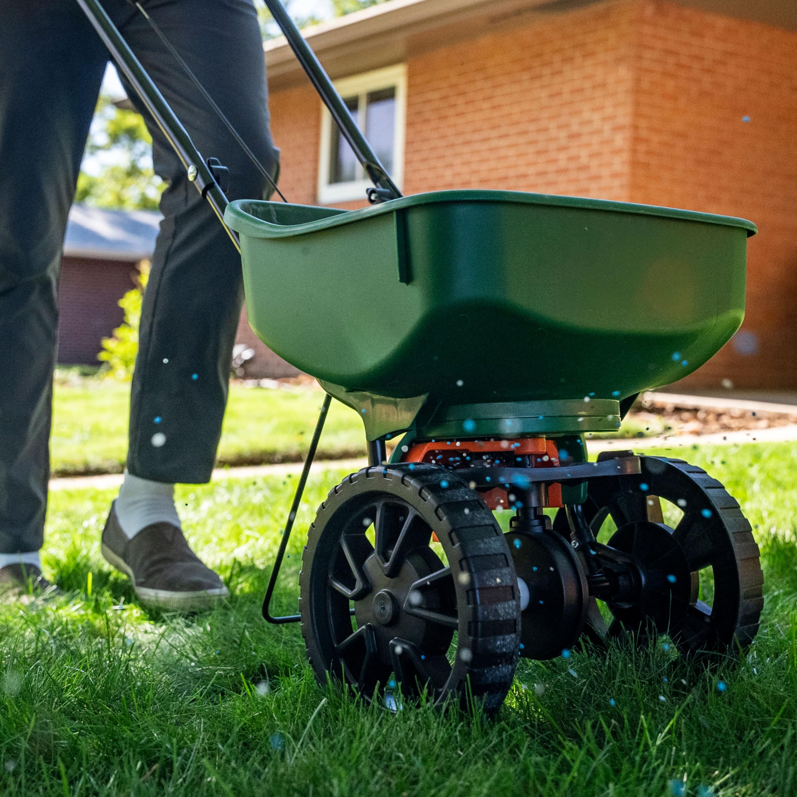 SUNDAY Kickstart lawn revitalization before-and-after scene