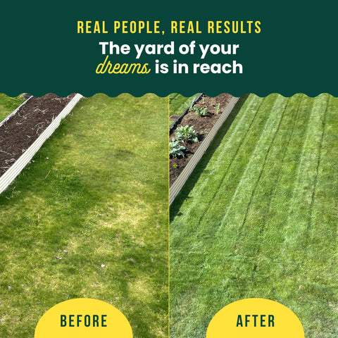 Sunday Lawn Kickstart covers up to ten thousand square feet for large lawns.