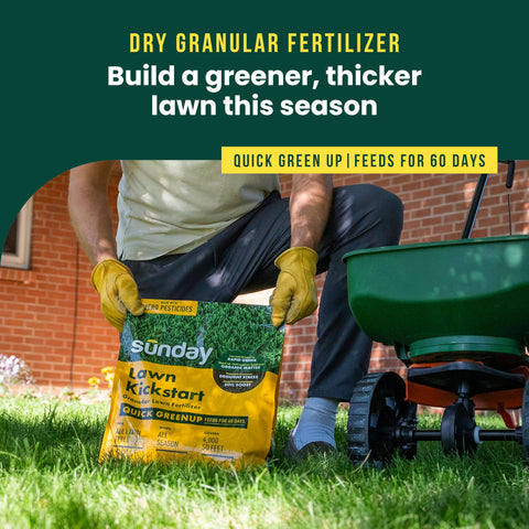 SUNDAY Lawn Kickstart granules close-up showing balanced nutrients for greening