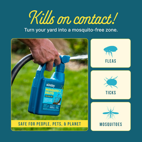 Sunday Mosquito Deleto lemongrass cedar oils provide natural deterrence for mosquitoes
