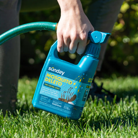 Sunday Mosquito Deleto spray application in seconds for convenience
