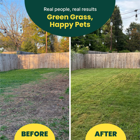 SUNDAY Pet Patch covers up to 2,500 sq ft of lawn for large yards.